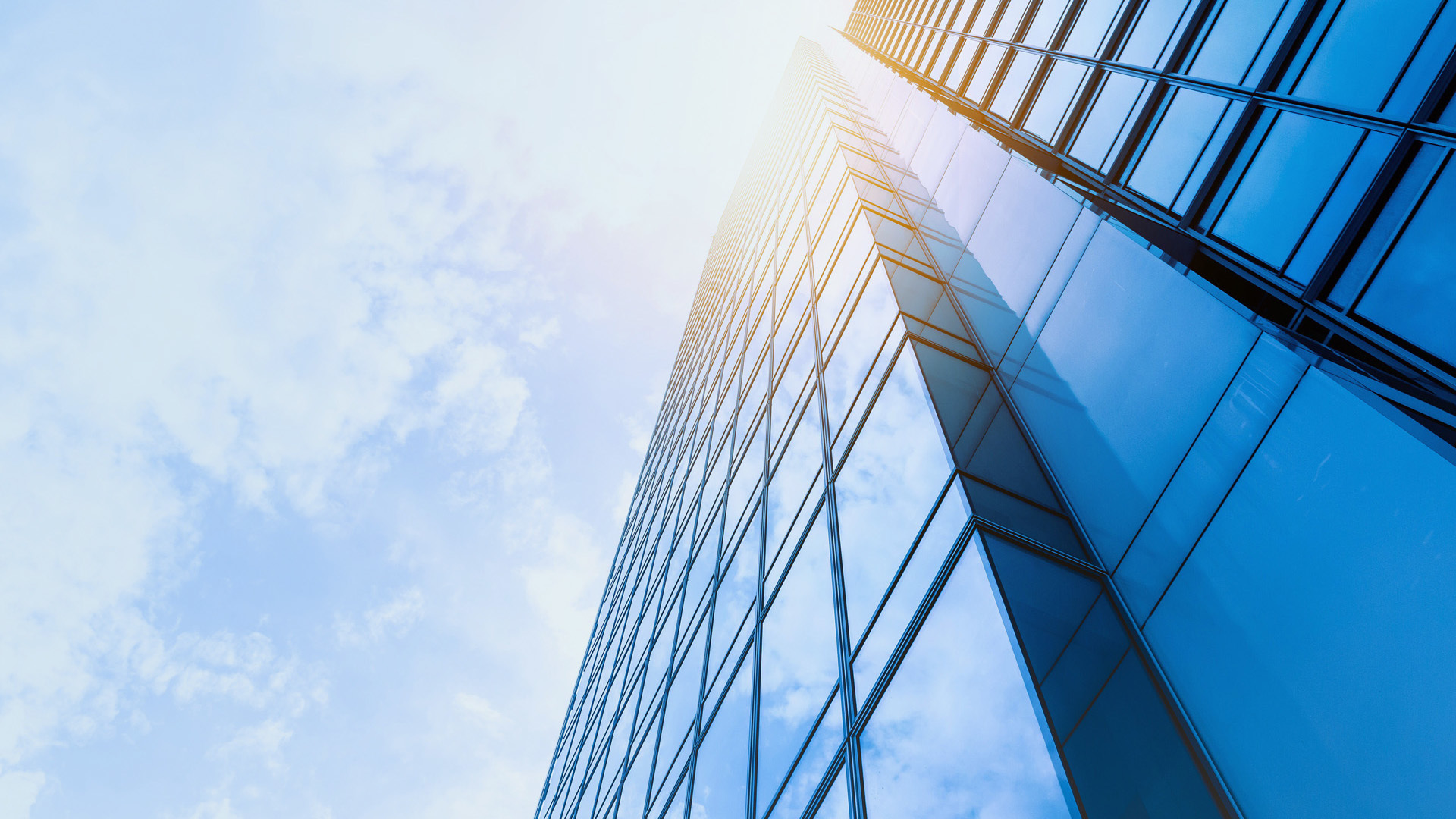 專(zhuān)業(yè)、專(zhuān)注、誠(chéng)信